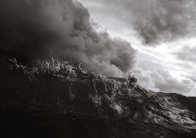 Storm Preppers - Books About Tropical Storms and Hurricanes